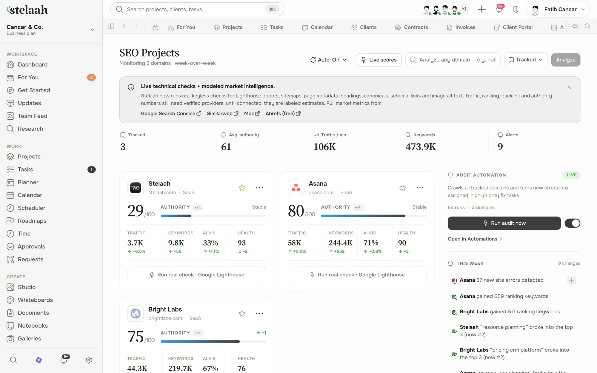 an SEO view showing keyword rankings and content health